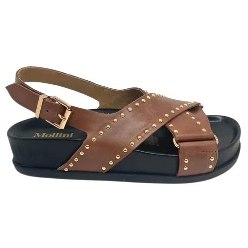 Cansi  -  Walnut