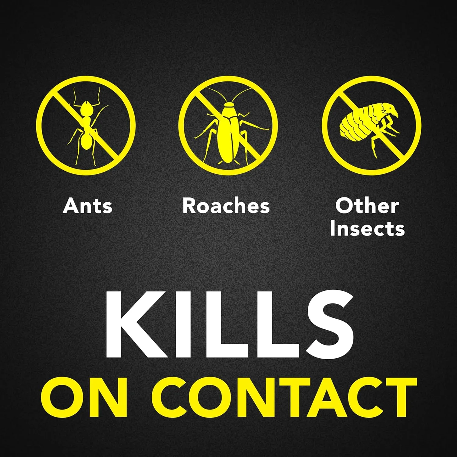 Raid Ant & Roach Killer 26, Fragrance Free Bug Killer for Home Use, Kills Bugs on Contact, 17.5 Oz, 2 Count